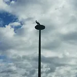 Nyaraló Ferienidyll Zur Spreeaue