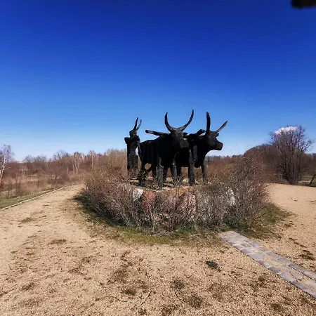 Ferienidyll Zur Spreeaue Dom wakacyjny