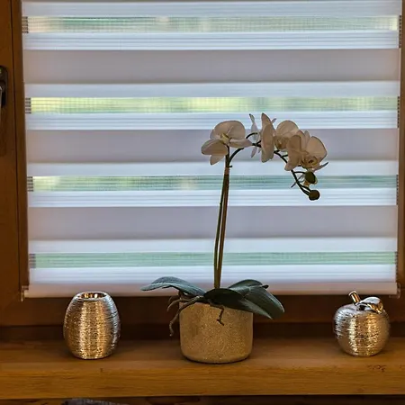 Ferienhaus Ferienidyll Zur Spreeaue