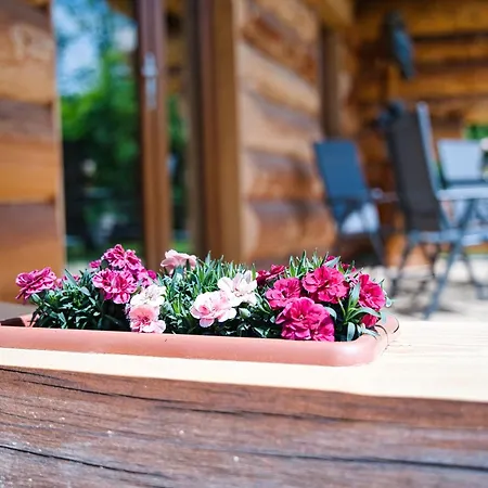 Holiday home Ferienidyll Zur Spreeaue Briesen (Spreewald)