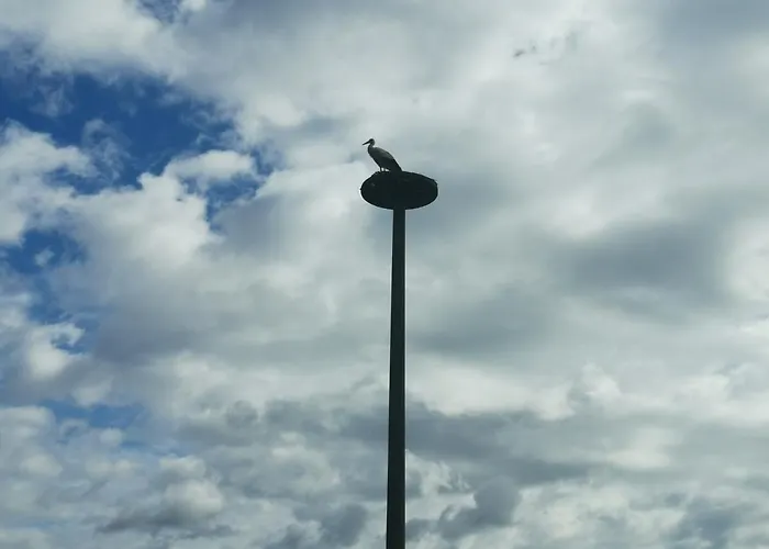 Casa de Férias Ferienidyll Zur Spreeaue